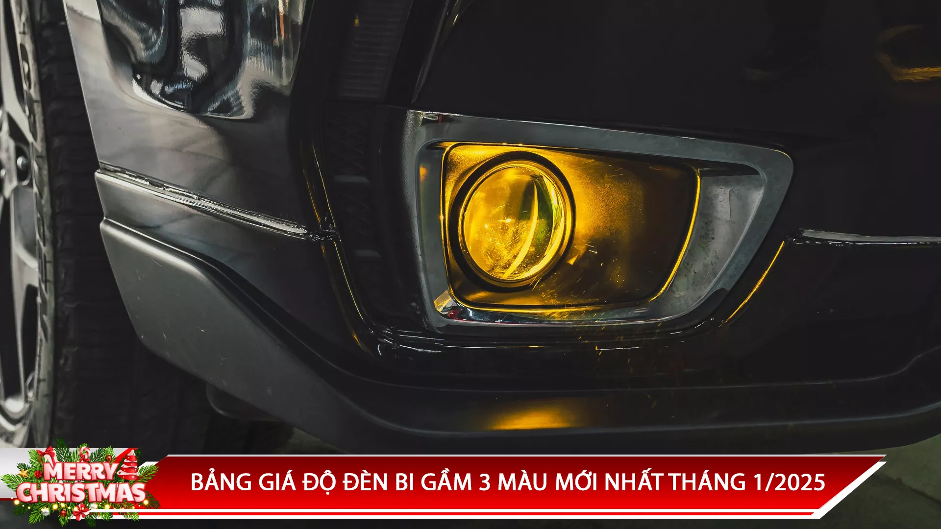BẢNG GIÁ ĐỘ ĐÈN BI GẦM 3 MÀU MỚI NHẤT THÁNG 1/2025