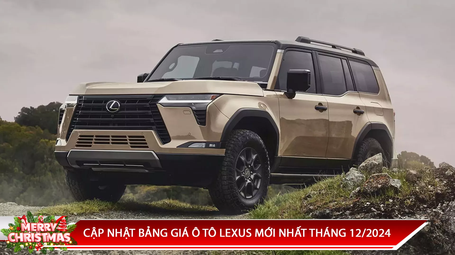 CẬP NHẬT BẢNG GIÁ Ô TÔ LEXUS MỚI NHẤT THÁNG 12/2024