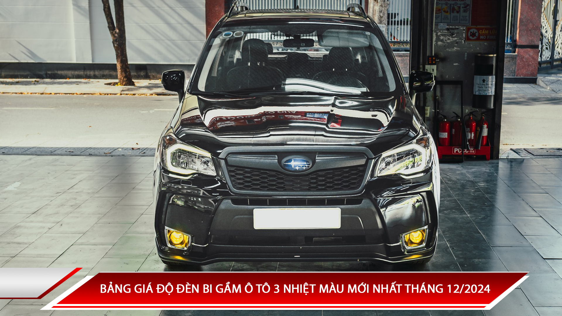 BẢNG GIÁ ĐỘ ĐÈN BI GẦM Ô TÔ 3 NHIỆT MÀU MỚI NHẤT THÁNG 12/2024