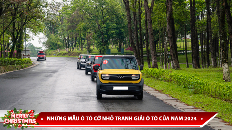 NHỮNG MẪU Ô TÔ CỠ NHỎ TRANH GIẢI Ô TÔ CỦA NĂM 2024