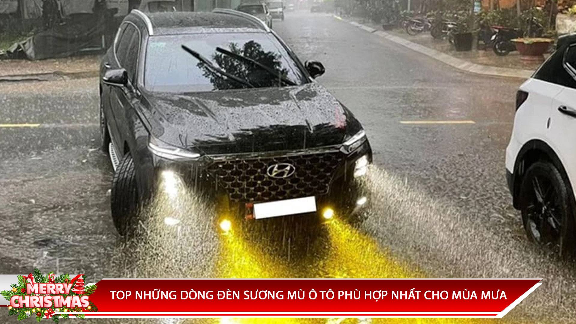 TOP NHỮNG DÒNG ĐÈN SƯƠNG MÙ Ô TÔ PHÙ HỢP NHẤT CHO MÙA MƯA