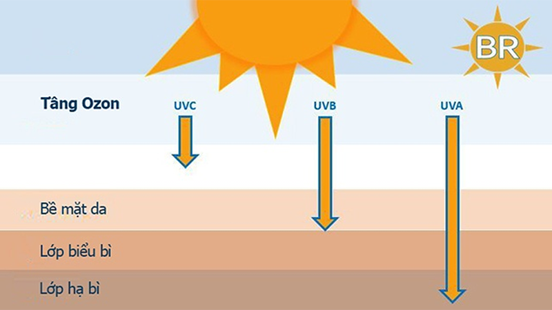 Khả năng loại bỏ tia UV (UVR)